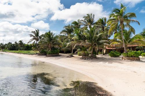 a beach with palm trees and a house at Seascape Villas in San Pedro