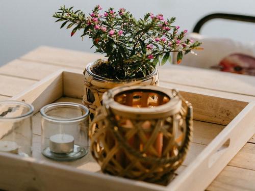 a wooden tray with a potted plant and a basket at Geel Chalet in Netevallei in Geel
