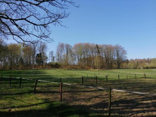 a fence in a field with trees in the background at Geel Chalet in Netevallei in Geel