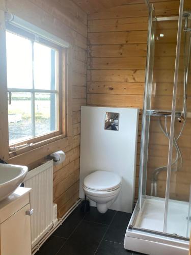 a bathroom with a toilet and a glass shower at Uxahryggur in Hvolsvöllur