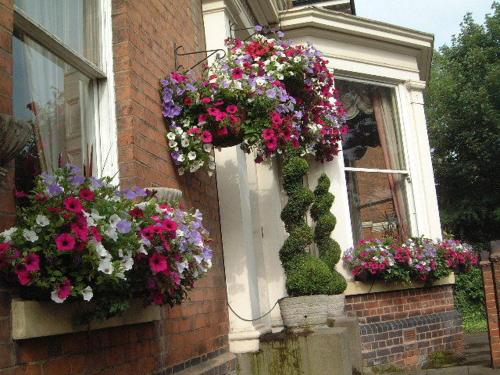 a bunch of flowers on the side of a window at Ely House Hotel in Wolverhampton
