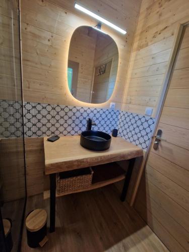 a bathroom with a sink and a mirror at Chalet GOURCE avec vue sur le Château in Foix