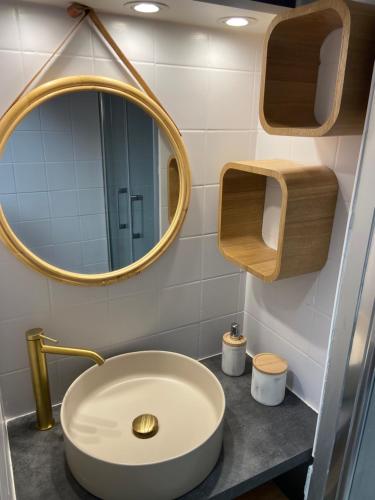 a bathroom with a sink and a mirror at Appartement 5 places 300m de la plage in Argelès-sur-Mer