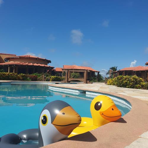 two rubber ducks sitting next to a swimming pool at Seascape Villas in San Pedro