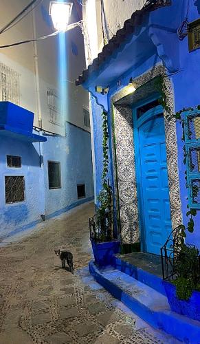 a cat walking past a blue building with a blue door at DAR AMRANi in Chefchaouene