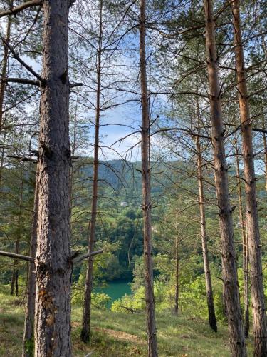 a view of a lake through the trees at La Casa Cottage in Jajce