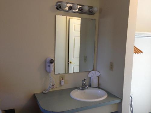 uma casa de banho com um lavatório e um espelho em The Falls Motel em Watkins Glen