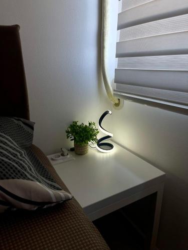 a table with a plant on it next to a window at Stan na Bubnju in Kragujevac