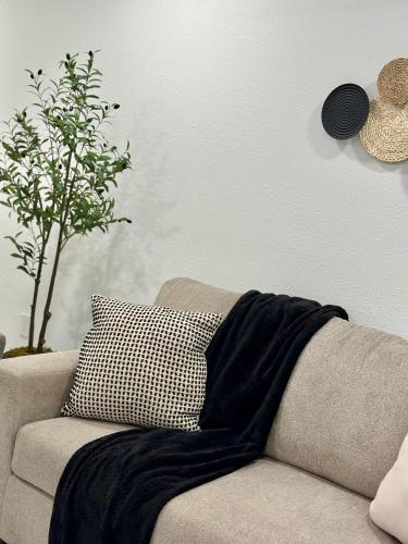 Ruang duduk di Cozy Carrollwood