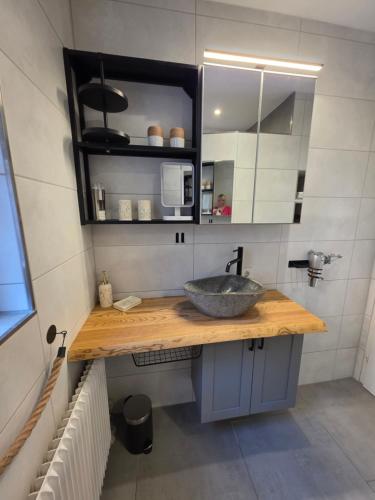 a bathroom with a sink and a mirror at Ferienwohnung Am Bärenstein, Fränkische Schweiz in Gößweinstein