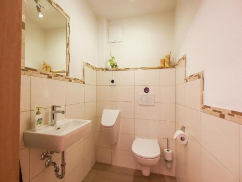 a bathroom with a sink and a toilet and a mirror at Holiday Home in Taxenbach with Hohe Tauern Views in Taxenbach