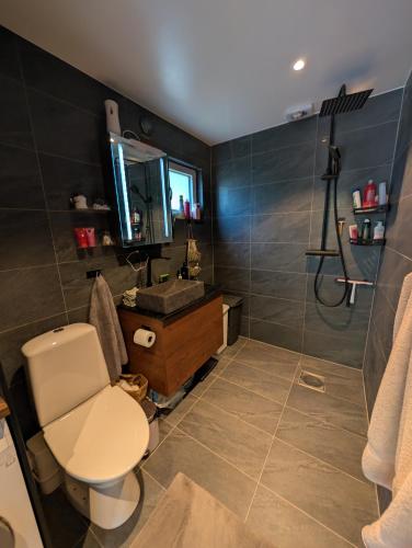 a bathroom with a toilet and a sink and a shower at Naturreservatet Sandsjöbacka in Mölndal