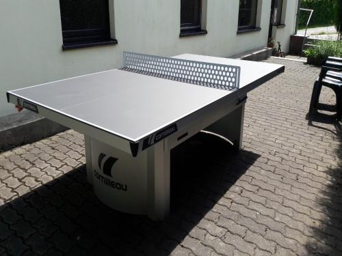 a ping pong table sitting in front of a building at Majestic Stay in Deutschneudorf in Deutschneudorf