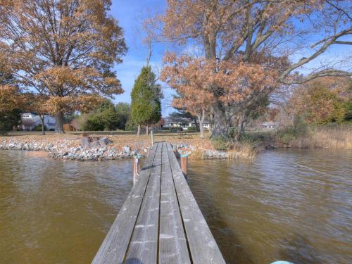 a group of birds sitting on a dock in the water at Covey Creek in Mount Pleasant