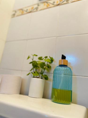 a green bottle sitting on top of a sink with a plant at Apartamento a 2 minutos de la playa in Gaira