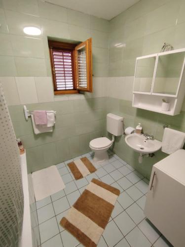 a bathroom with a toilet and a sink at Apartman NINA in Ličko Petrovo Selo