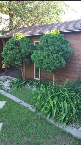 BUNGALÓ relax Terrace, GLAMPING FAHÁZ