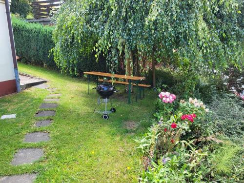 a picnic table and a grill in a garden at Birkenstübchen in Lautenthal