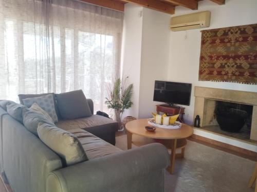 a living room with a couch and a fireplace at Villa Elaida in Ermioni
