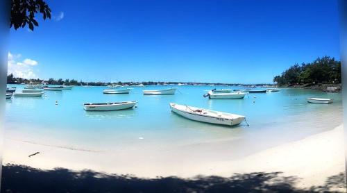 a group of boats sitting in the water on a beach at Chez Shafah in Goodlands