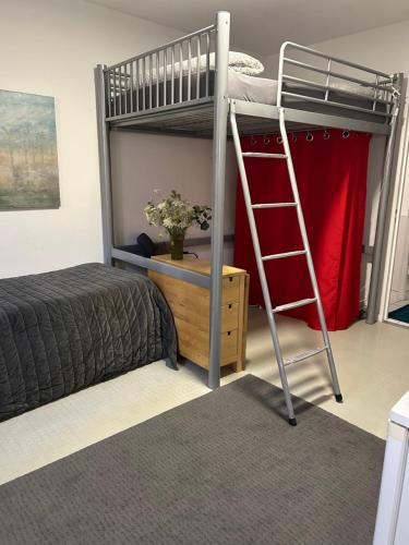 Studio sur cour au coeur de Colmar
