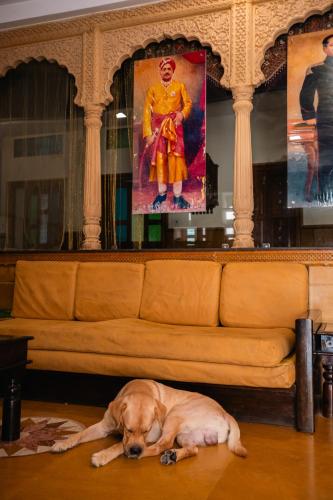 a dog laying on the floor in front of a couch at Jaisalmer Elite Castle in Jaisalmer