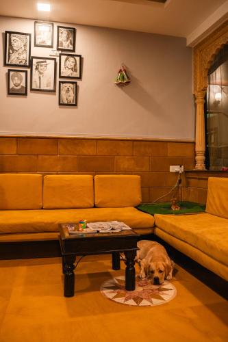 a dog sitting in a living room with a coffee table at Jaisalmer Elite Castle in Jaisalmer