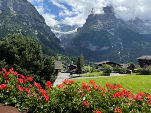 a view of a mountain with flowers in the foreground at Orion - Luxuriöse Duplex Wohnung in Grindelwald in Grindelwald