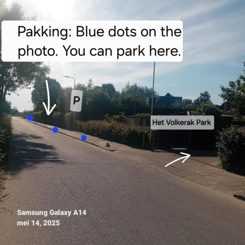 a picture of a street with blue dots on the road at Studio Waterland in Ooltgensplaat