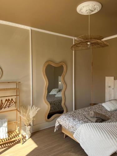 a bedroom with a large mirror on the wall at Appartement F2 - Besançon - proche centre ville in Besançon