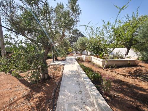 Jardín al aire libre en Villa Pesce