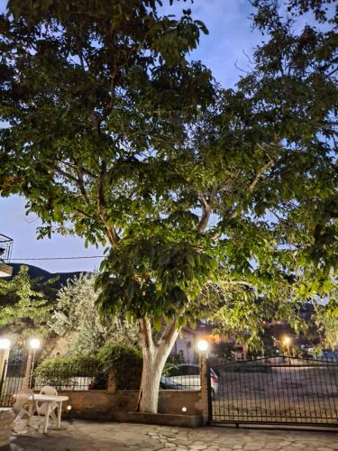 Ein Garten an der Unterkunft Asprovalta Beach Apartment