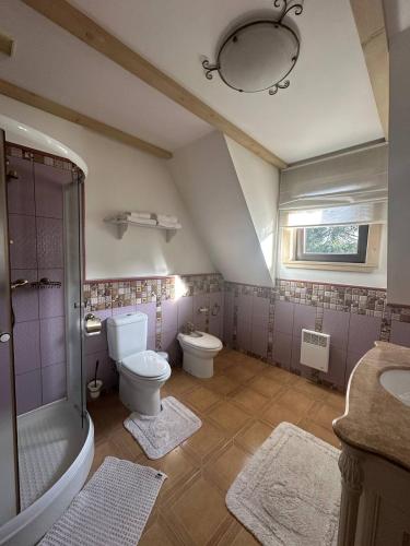 a bathroom with a toilet and a shower and a sink at Видовий !!! in Palyanytsya