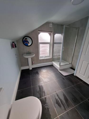 a bathroom with a toilet and a sink at Alice house in Sunderland