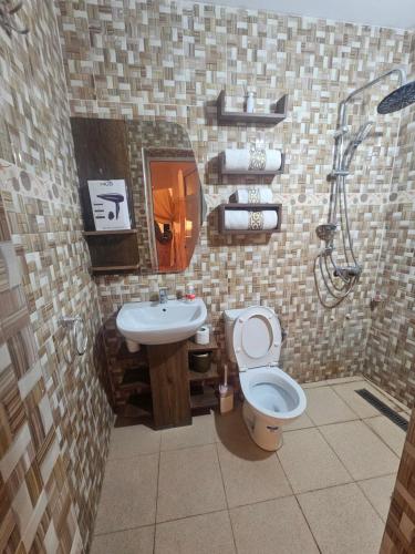 ウジダにあるCity zen oujdaのトイレと洗面台付きのバスルーム