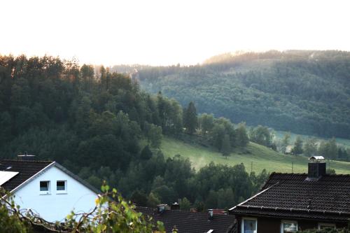a view of a mountain with houses and trees at Birkenstübchen in Lautenthal