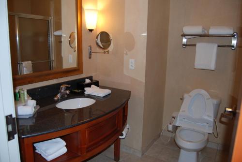 a bathroom with a sink and a toilet and a mirror at Holiday Inn Express Hotel & Suites Auburn Hills by IHG in Auburn Hills