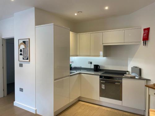 Kuchyň nebo kuchyňský kout v ubytování Spacious 1 bedroom Apartment in St Albans