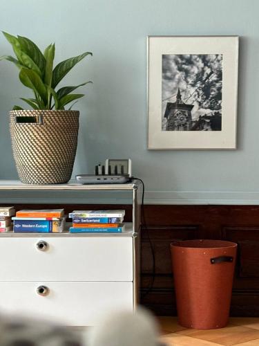 a white dresser with a potted plant on top of it at Steps To Best Bern Sites And Lots Of Space Too! in Bern
