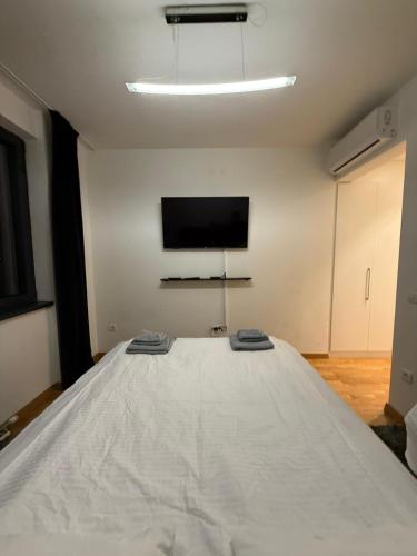 a bedroom with a large bed with a tv on the wall at Belgrade Waterfront apartments in Belgrade