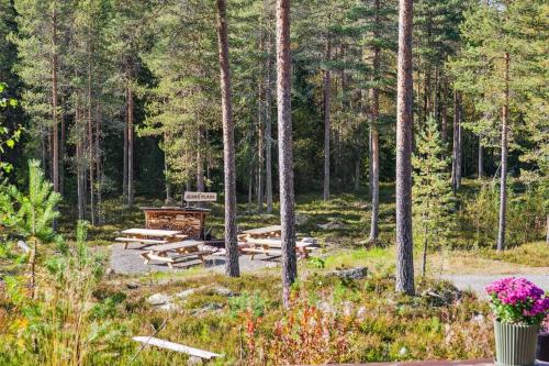 a group of picnic tables in the middle of a forest at Trysil Hyttekos & Panorama in Trysil