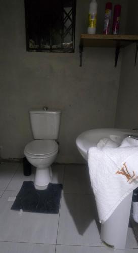 a bathroom with a toilet and a bath tub at The Sunrise in Nkawukazi