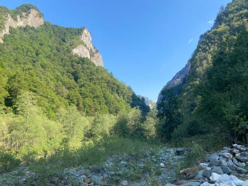 a river in a mountain valley with rocks and trees at Kafe Pojana in Tropojë