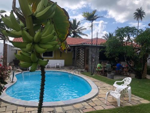 a banana tree in front of a swimming pool at Pousada Robijn in Cabo de Santo Agostinho
