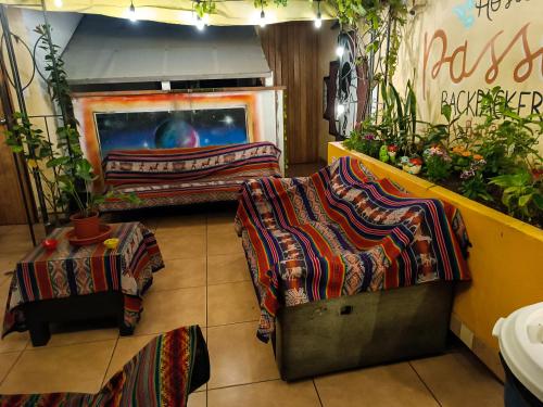 a store with two beds in a room with plants at Passion Hostel - Barranco in Lima