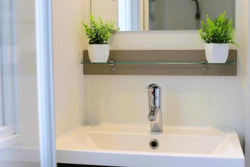 a bathroom sink with two potted plants on it at Vos Meilleures vacances dans le Pithiverais-Gâtinais! in Nibelle