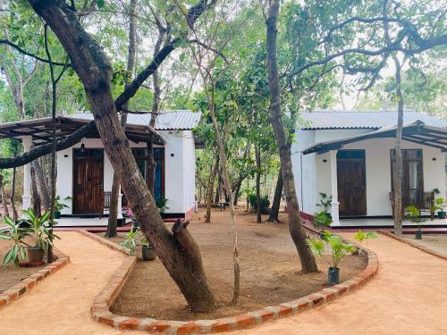 a small white house with trees in front of it at Bliss Villa, Habarana in Habarana