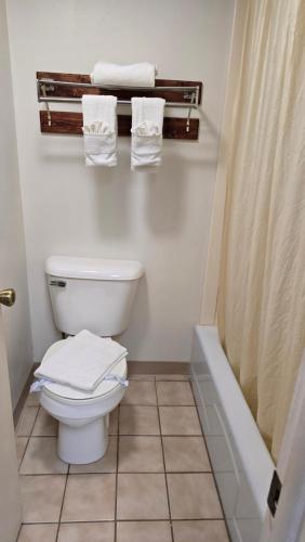 a bathroom with a toilet and towels on the wall at Swiss Village Inn in Eureka Springs