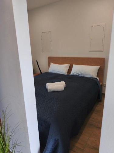 Katil atau katil-katil dalam bilik di Modernes Ferienhaus mit 4 separaten Appartements, je mit vollausgestatteter Küchenzeile und eigenem Bad, 2 Gehminuten zum Badesee, Garten, Grillplatz, Kinderspielbereich, Hunde sind willkommen