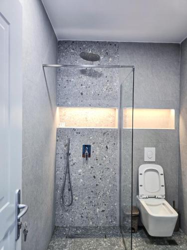 a bathroom with a shower and a toilet at Hotel Azure in Dhërmi